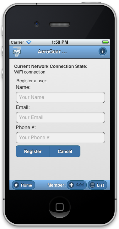 iOS Simulator shoing network connection output