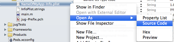 Info.plist file of the Application